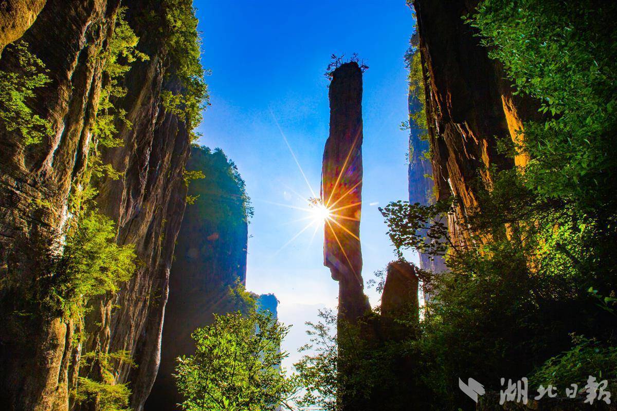 老虎机苹果机技巧